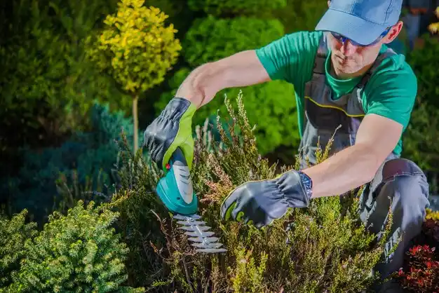 landscaping services Russellville